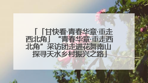 「甘快看·青春华章·重走西北角」“青春华章·重走西北角”采访团走进花舞南山 探寻天水乡村振兴之路