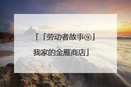 「劳动者故事⑨」我家的金雁商店