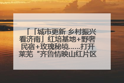「城市更新 乡村振兴看济南」红培基地+野奢民宿+玫瑰秘境……打开莱芜“齐鲁情映山红片区”的破圈秘籍