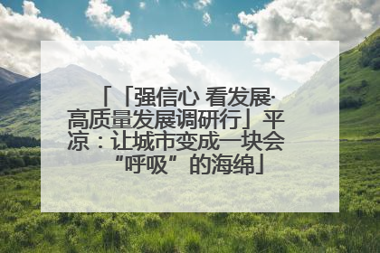 「强信心 看发展·高质量发展调研行」平凉：让城市变成一块会“呼吸”的海绵