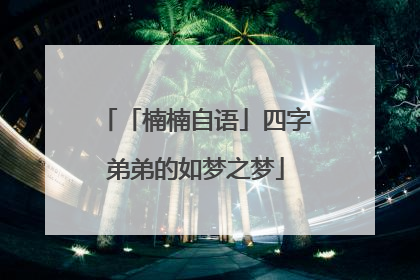 「楠楠自语」四字弟弟的如梦之梦