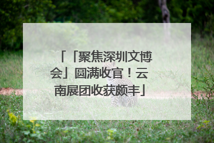 「聚焦深圳文博会」圆满收官！云南展团收获颇丰