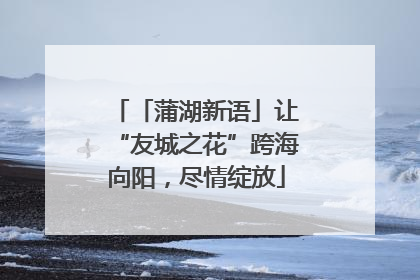 「蒲湖新语」让“友城之花”跨海向阳，尽情绽放