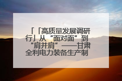 「高质量发展调研行」从“面对面”到“肩并肩”——甘肃全利电力装备生产制造项目一线见闻