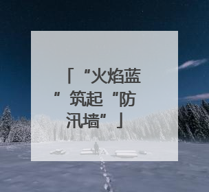 “火焰蓝”筑起“防汛墙”