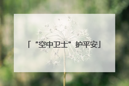 “空中卫士”护平安