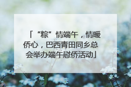 “粽”情端午，情暖侨心，巴西青田同乡总会举办端午慰侨活动