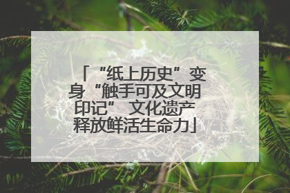 “纸上历史”变身“触手可及文明印记” 文化遗产释放鲜活生命力