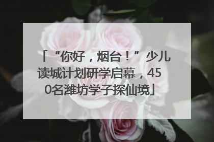 “你好，烟台！”少儿读城计划研学启幕，450名潍坊学子探仙境