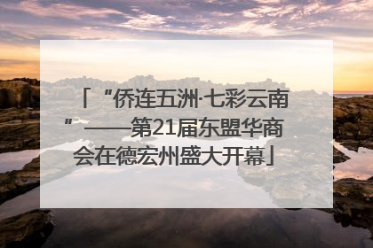 “侨连五洲·七彩云南”——第21届东盟华商会在德宏州盛大开幕