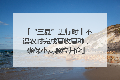 “三夏”进行时丨不误农时完成夏收夏种，确保小麦颗粒归仓