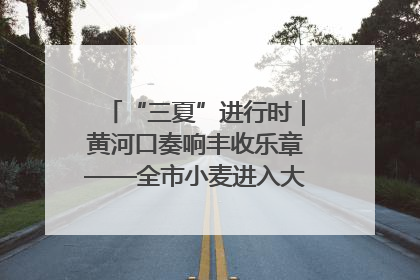 “三夏”进行时｜黄河口奏响丰收乐章——全市小麦进入大面积收获高峰期