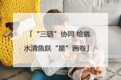 “三链”协同 绘就水清鱼跃“星”画卷