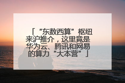 “东数西算”枢纽来沪推介，这里竟是华为云、腾讯和网易的算力“大本营”