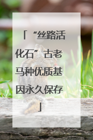 “丝路活化石”古老马种优质基因永久保存