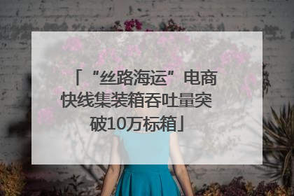 “丝路海运”电商快线集装箱吞吐量突破10万标箱