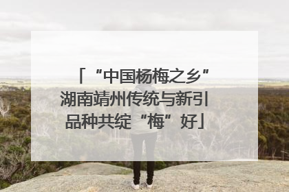 “中国杨梅之乡”湖南靖州传统与新引品种共绽“梅”好
