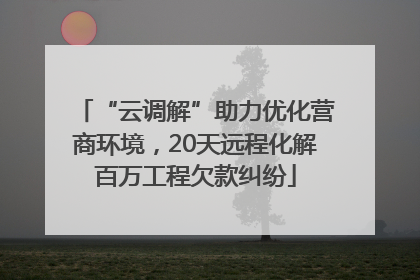 “云调解”助力优化营商环境，20天远程化解百万工程欠款纠纷