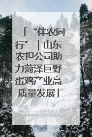 “伴农同行”｜山东农担公司助力菏泽巨野蛋鸡产业高质量发展