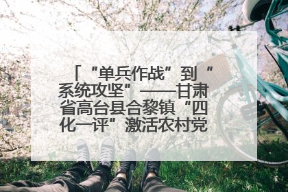 “单兵作战”到“系统攻坚”——甘肃省高台县合黎镇“四化一评”激活农村党员管理新引擎