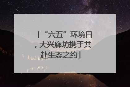 “六五”环境日，大兴廊坊携手共赴生态之约