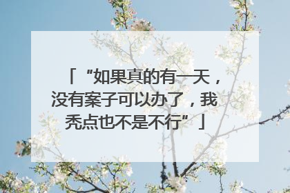 “如果真的有一天，没有案子可以办了，我秃点也不是不行”