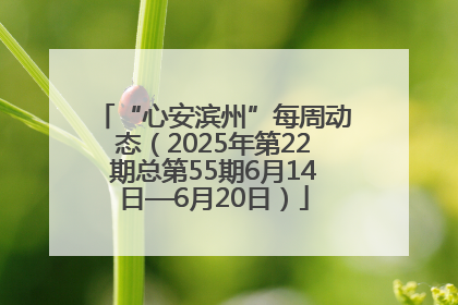 “心安滨州”每周动态（2025年第22期总第55期6月14日—6月20日）