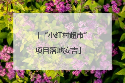 “小红村超市”项目落地安吉