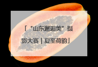 “山东邂逅美”摄影大赛｜夏至荷韵