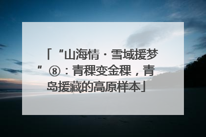 “山海情・雪域援梦”⑧：青稞变金稞，青岛援藏的高原样本