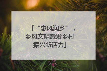 “惠风润乡”，乡风文明激发乡村振兴新活力