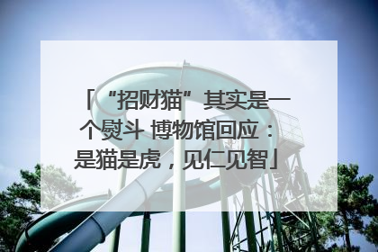 “招财猫”其实是一个熨斗 博物馆回应：是猫是虎，见仁见智
