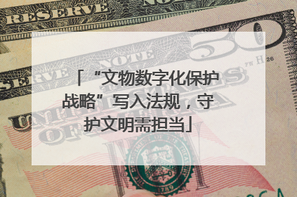 “文物数字化保护战略”写入法规，守护文明需担当