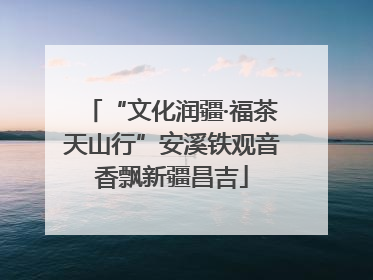“文化润疆·福茶天山行”安溪铁观音香飘新疆昌吉