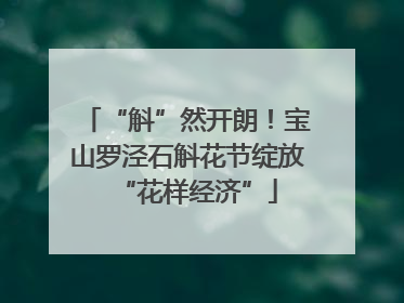 “斛”然开朗！宝山罗泾石斛花节绽放“花样经济”