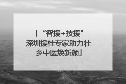 “智援+技援” 深圳援桂专家助力壮乡中医焕新颜