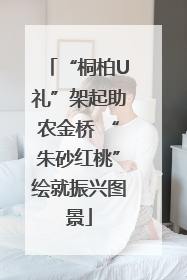 “桐柏U礼”架起助农金桥 “朱砂红桃”绘就振兴图景