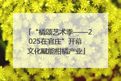 “橘颂艺术季——2025在官庄”开幕 文化赋能柑橘产业