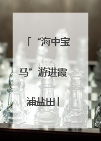“海中宝马”游进霞浦盐田
