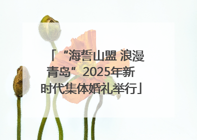 “海誓山盟 浪漫青岛”2025年新时代集体婚礼举行