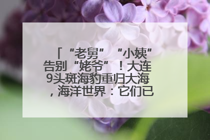 “老舅”“小姨”告别“姥爷”！大连9头斑海豹重归大海，海洋世界：它们已具备野外生存能力
