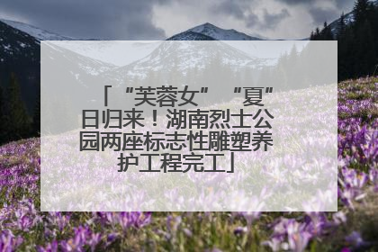 “芙蓉女”“夏”日归来！湖南烈士公园两座标志性雕塑养护工程完工