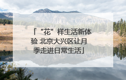 “花”样生活新体验 北京大兴区让月季走进日常生活