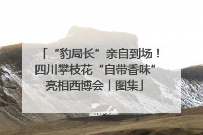 “豹局长”亲自到场！四川攀枝花“自带香味”亮相西博会丨图集