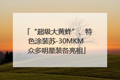 “超级大黄蜂”、特色涂装苏-30MKM 众多明星装备亮相
