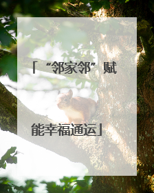 “邻家邻”赋能幸福通运