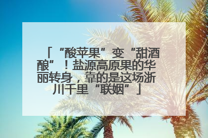 “酸苹果”变“甜酒酿”！盐源高原果的华丽转身，靠的是这场浙川千里“联姻”