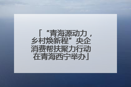 “青海源动力，乡村焕新程”央企消费帮扶聚力行动在青海西宁举办
