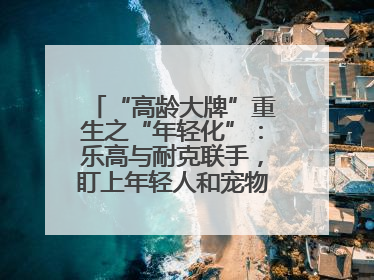 “高龄大牌”重生之“年轻化”：乐高与耐克联手，盯上年轻人和宠物的钱包