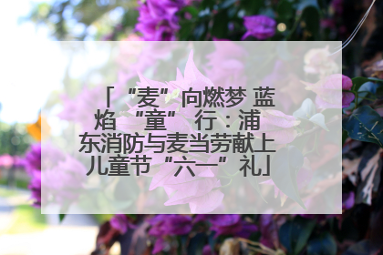 “麦”向燃梦 蓝焰 “童” 行：浦东消防与麦当劳献上儿童节“六一”礼